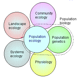 population genetics definition